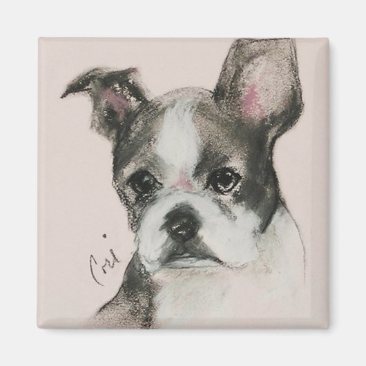 Boston Terrier Dog Art Magnet (Devant)