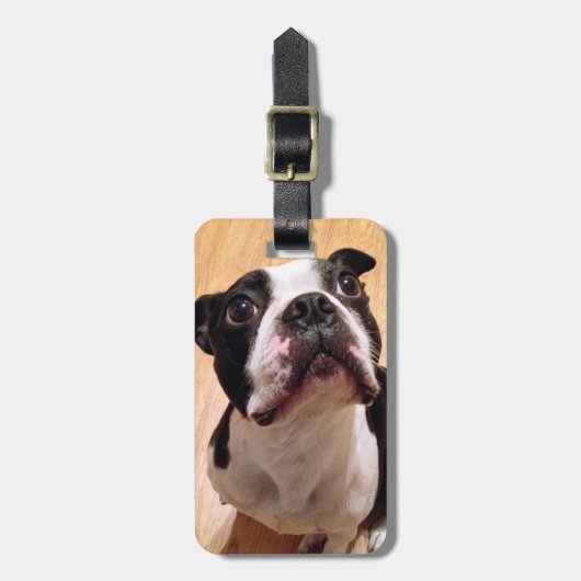 Boston Terrier Dog Bagagelabel (Voorkant verticaal)