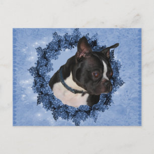 Boston Terrier Dog Briefkaart