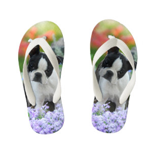 Boston Terrier Dog Cute Puppy Animal Foto - Kinder Kinder Teenslippers