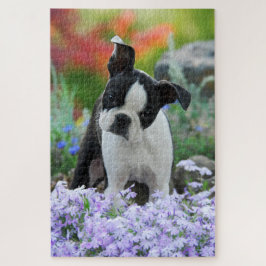 Boston Terrier Dog Cute Puppy Animal Head Foto - Legpuzzel