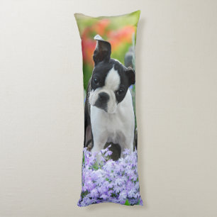 Boston Terrier Dog Cute Puppy, knuffel Lichaamskussen