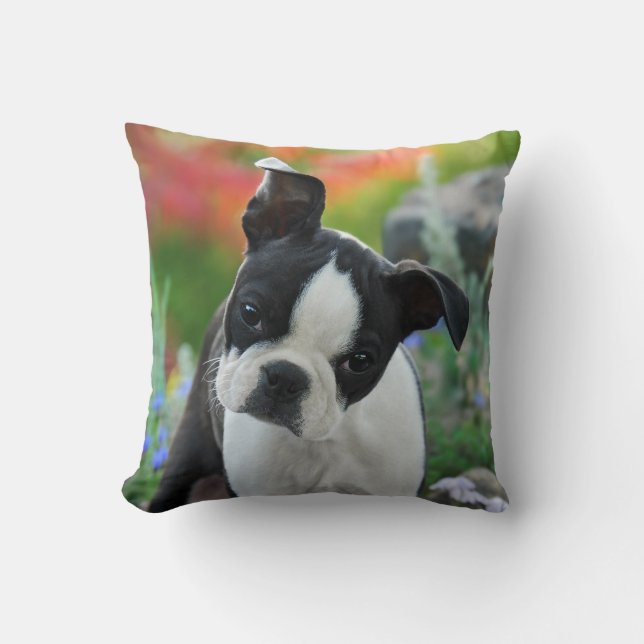 Boston Terrier Dog Cute Puppy Portrait, Square Kussen (Voorkant)