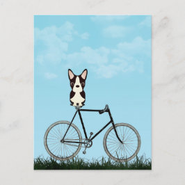 Boston Terrier Dog die op de  fiets zit Briefkaart