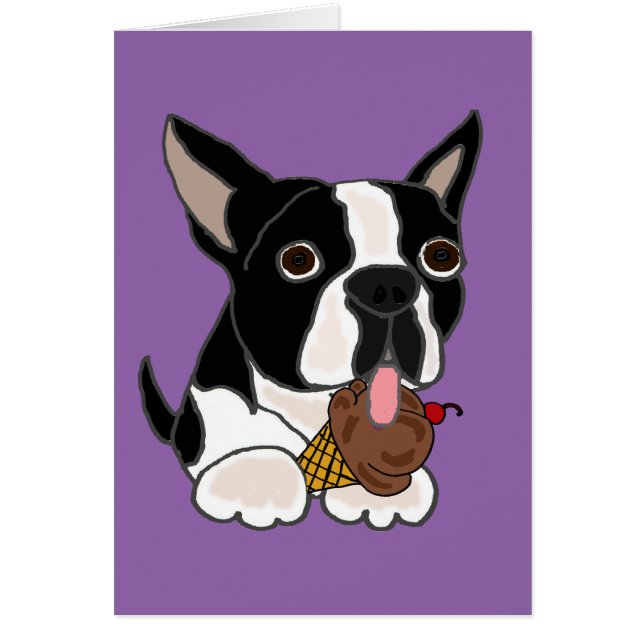 Boston Terrier dog Eating Ice Cream (Voorkant)