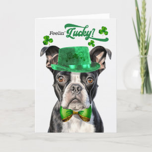 Boston Terrier Dog Feelin' Lucky St Patrick's Day Feestdagen Kaart