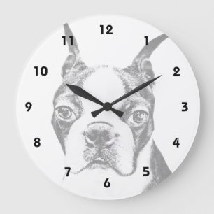 Boston Terrier dog Grote Klok