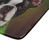 Boston Terrier dog in St. Patrick's Day Dress Snijplank (Hoek)