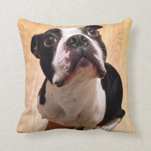 Boston Terrier Dog Kussen