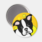 Boston Terrier Dog Magneet (Voorkant / Achterkant)