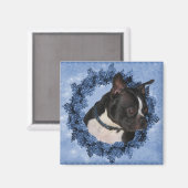 Boston Terrier Dog Magnet (Recto/Verso)