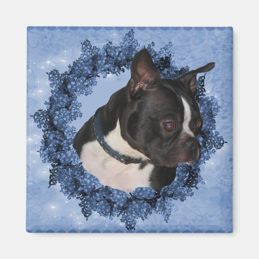 Boston Terrier Dog Magnet (Devant)