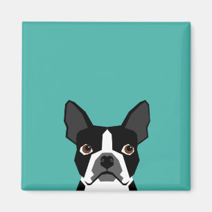 Boston Terrier dog magnet Magneet