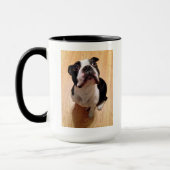 Boston Terrier Dog Mok (Links)