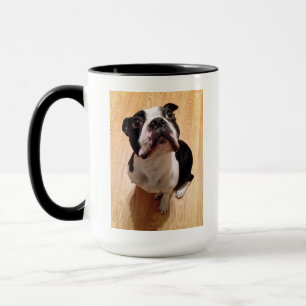 Boston Terrier Dog Mok