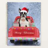 Boston Terrier Dog Neige assis sur le camion de No (Devant)