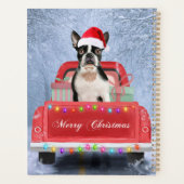 Boston Terrier Dog Neige assis sur le camion de No (Dos)