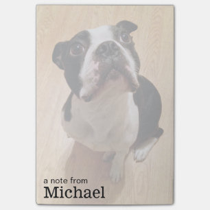 Boston Terrier Dog Post-it® Notes