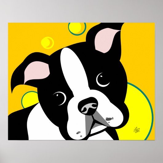 Boston Terrier Dog Poster (Voorkant)