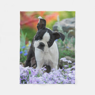 Boston Terrier Dog Puppy comfy Fleece Deken