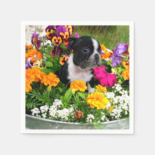 Boston Terrier dog Servet (Voorkant)