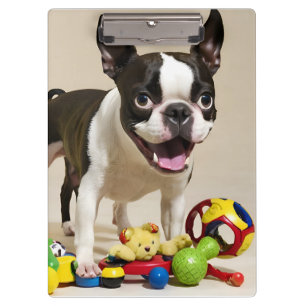 Boston Terrier Dog Spelen met Speelgoed Klembord