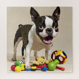 Boston Terrier Dog Spelen met Speelgoed Legpuzzel