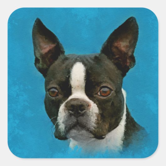 Boston Terrier dog Vierkante Sticker (Voorkant)