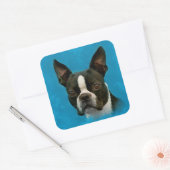 Boston Terrier dog Vierkante Sticker (Envelop)