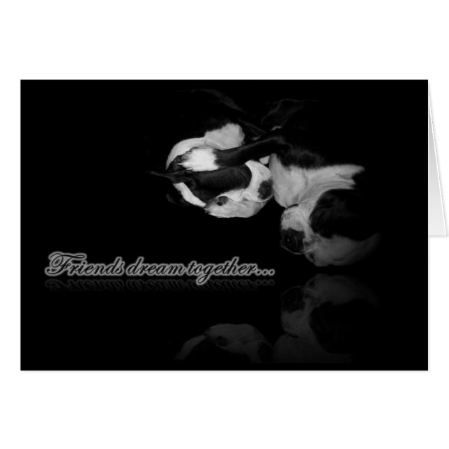 Boston Terrier Dreams Card (Voorkant Horizontaal)