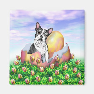 Boston Terrier Easter Surprise Magnet Magneet
