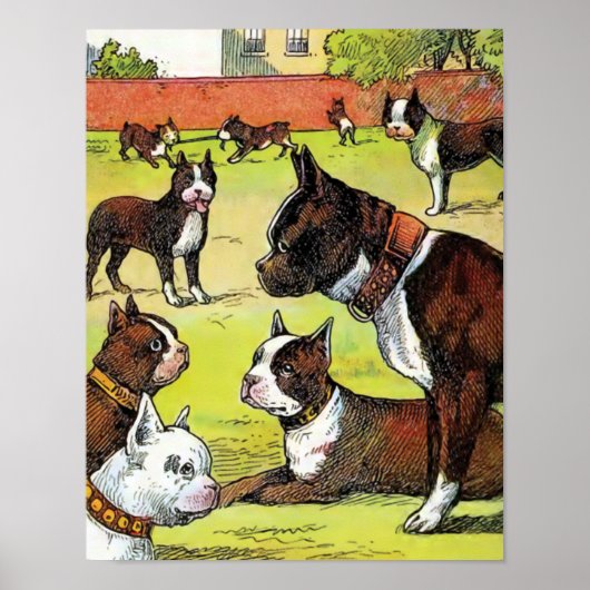 Boston Terrier en Puppies  Illustratie Poster (Voorkant)