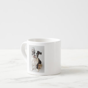 Boston Terrier Espresso Kop