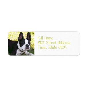 Boston Terrier Étiquettes de courrier