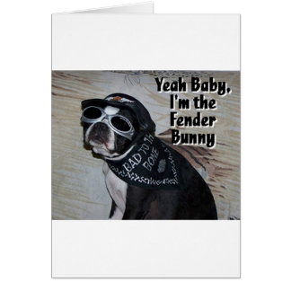 Boston Terrier : Fender Bunny