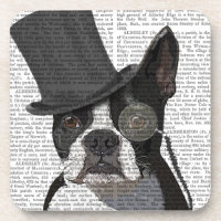 Boston Terrier, Formal Hound en Pet