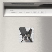 Boston Terrier, Formal Hound en Pet Magneet (Insitu (Vaatwasser))
