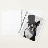 Boston Terrier, Formal Hound en Pet Planner (Display)