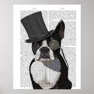 Boston Terrier, Formal Hound en Pet Poster
