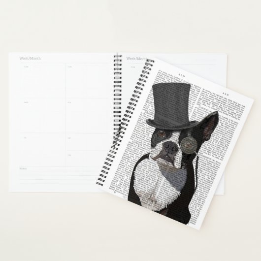 Boston Terrier, Formal Hound et Casquette (Devant avec enveloppe)
