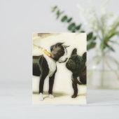 BOSTON TERRIER&FRENCH BULLDOG BRIEFKAART (Staand voorkant)
