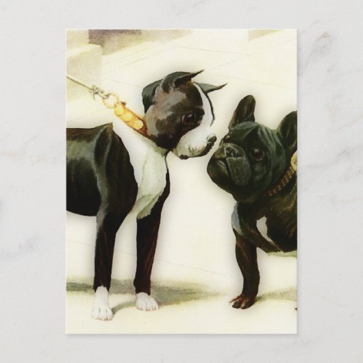 BOSTON TERRIER&FRENCH BULLDOG BRIEFKAART (Voorkant)