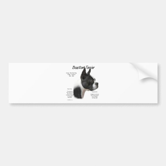 Boston Terrier Geschiedenis Ontwerp Bumpersticker (Voorkant)