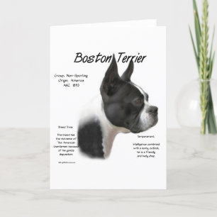 Boston Terrier Geschiedenis Ontwerp Feestdagen Kaart