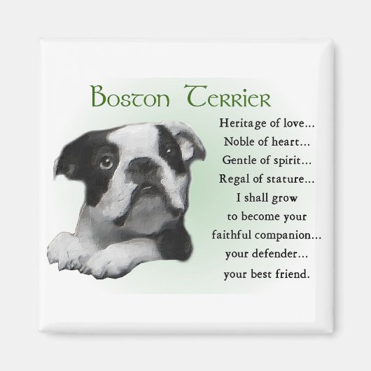 Boston Terrier Gifts Magneet (Voorkant)