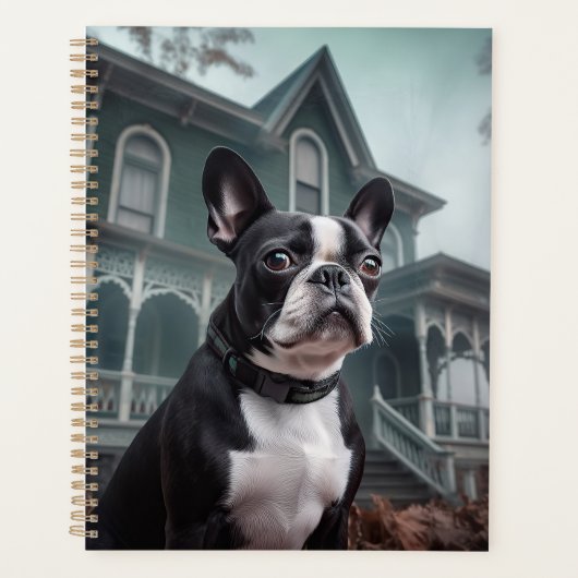 Boston Terrier Halloween effrayant (Devant)