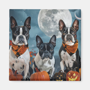 Boston Terrier Halloween Spokenverwekkend Magneet