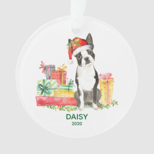 Boston Terrier-hanger met hondennaam Ornament