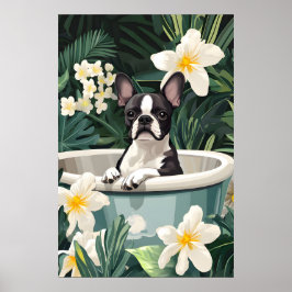 Boston Terrier In Bathtub Poster, Funny Dog Poster