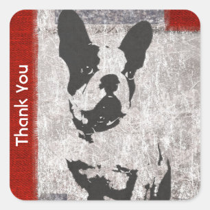 Boston Terrier in Black en White Hartelijk dank Vierkante Sticker